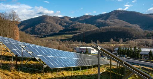 The Solar panels on the meadow, near the forest. Green energy concept