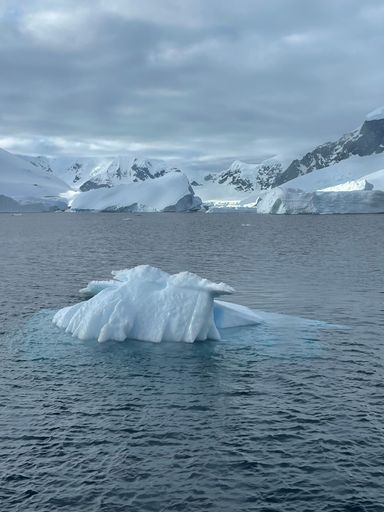 A scenic vertical shot of ice cubes in the ocean in Antarctica