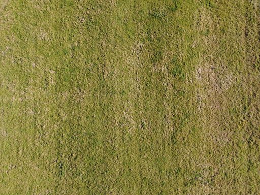 A top view shot of lawn