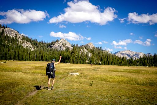 A male hiker with his fist up walking in the green beautiful field with trees and high rocks in the background