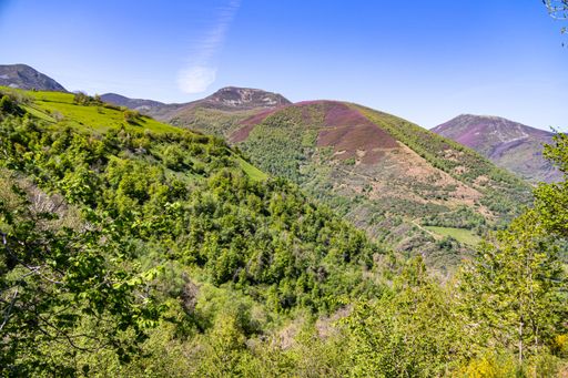 A magnificent view of forested mountain, and grassy slopes in The Somiedo Natural Park, Spain, on a sunny day