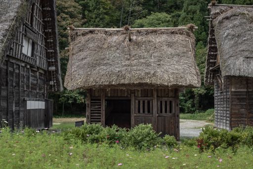 A wooden hut in the historic village of Shirakawa-go and Gokayama in Japan, surrounded by grass and other wooden huts, with a forest in the background