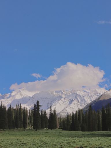 A vertical shot of the green meadow with trees against the background of snowy mountains and blue sky.