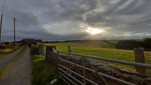 The bright sun in cloudy sunset sky shining over lush green fenced field in the countryside
