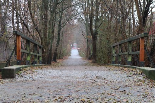 A landscape of a pathway in a park covered in bare trees and dry leaves in autumn