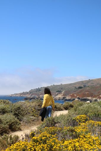 A young woman standing on a narrow trail surrounded by yellow flowers. Big Sur, California.