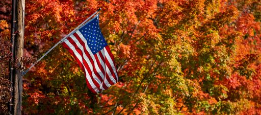 A panoramic shot of the flag of the United States of America on a blurry background of autumn trees