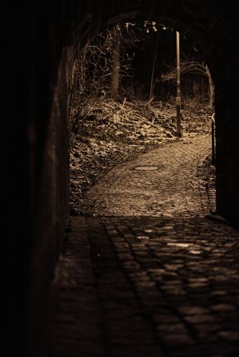 An arched walkway in the autumn park at night