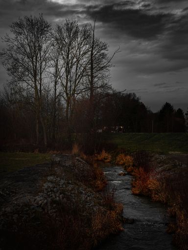 A vertical shot of a gloomy and moody trail leading into the forest - great for backgrounds