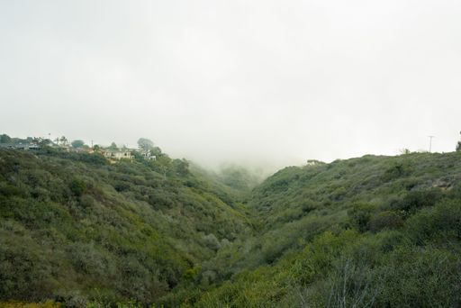 A scenic view of houses on top of a green mountain on a foggy day in San Diego, CA