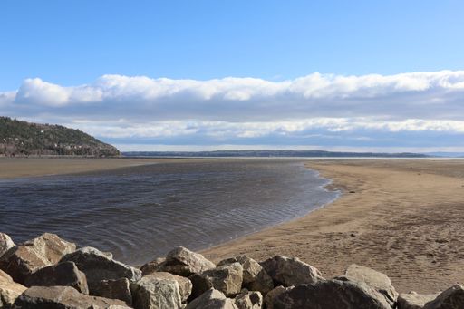 A scenic view of rocks on the sandy beach and seashore during low tide under blue cloudy sky