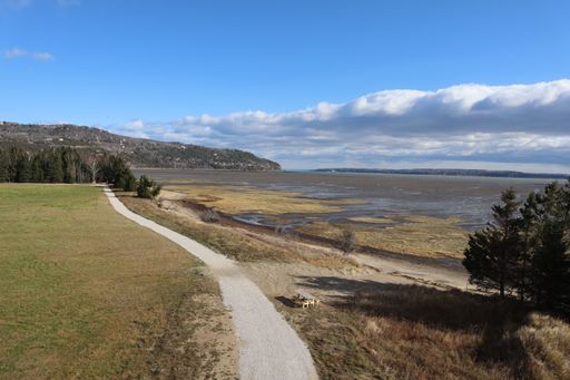 A narrow path on the green seashore at a low tide under blue cloudy sky