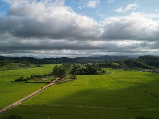 An Aerial view of green fields farming cultivation in agricultural land at a countryside