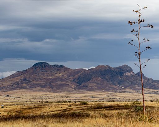 A dry, brown field with a majestic mountain range in the background against a cloudy sky.