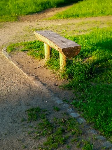 An old wooden bench made from a tree trunk in a park
