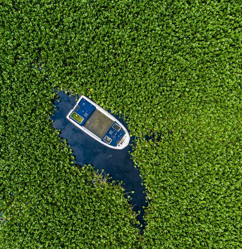 An aerial view of a boat docked in a grassy area near the shoreline
