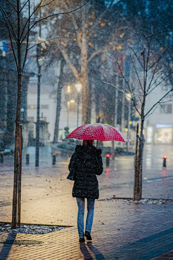 A vertical back view of a woman walking in the park with a red umbrella under light snow