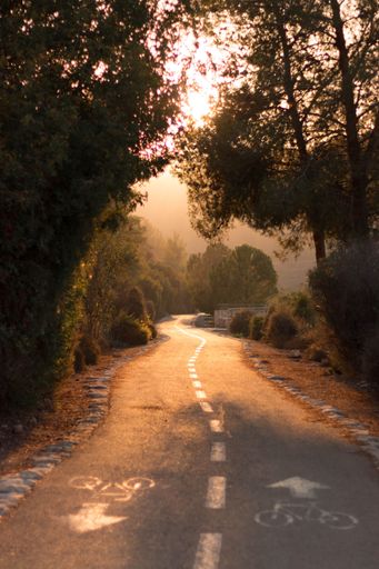 walking road at sunset time