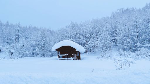 A cabin in the middle of a snow-covered field with trees in the background