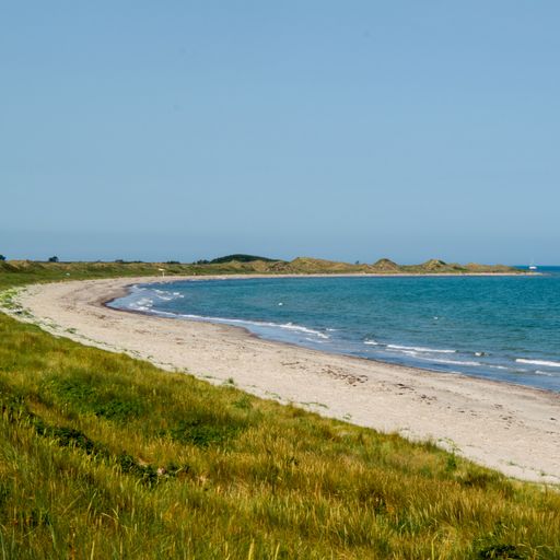 A green grass field coastline near sandy beach by blue sea and blue sky on the horizon