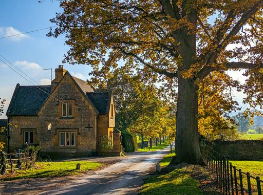 A path in the park between autumn trees and old stone house under blue sky