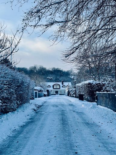 A winter view of snowy path with icy trees and a rural house on the horizon