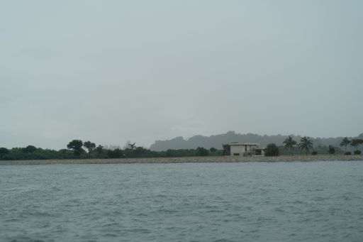 A gray sea dunes with trees and  mountains on the horizon under misty sky