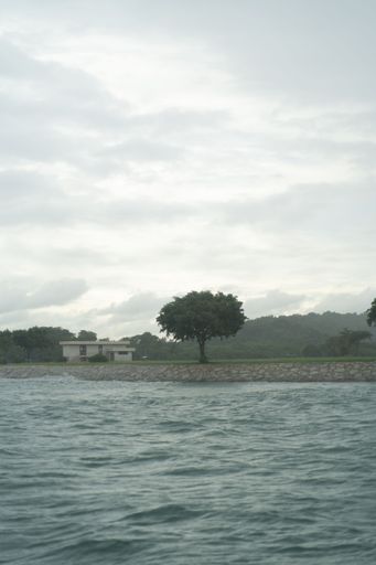 A gray sea dunes with trees and  mountains on the horizon under misty sky, vertical shot