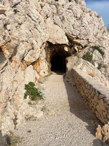A vertical shot of an entrance to a cave.