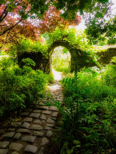 A vertical shot of a narrow walkway and a building with an arch surrounded by green trees