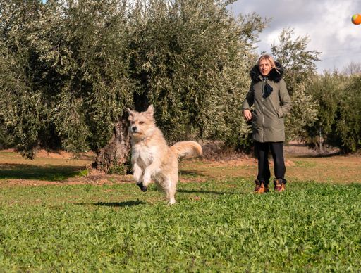 A shot of a female and an adorable dog running in a park in the daytime under the gloomy sky