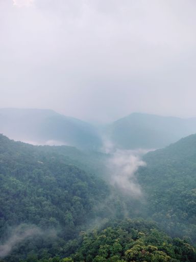 A vertical aerial view of a mountainous landscape with lush forests  in misty weather