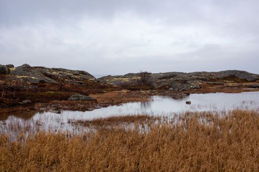 A beautiful view of canyon hills and wild grass by the lake under misty cloudy sky