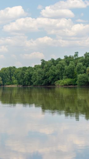 A tranquil lake reflecting the surrounding trees, creating a beautiful and serene scenery