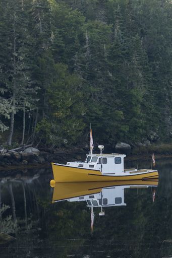 A vertical shot of a fishing boat moored with its reflect on the water