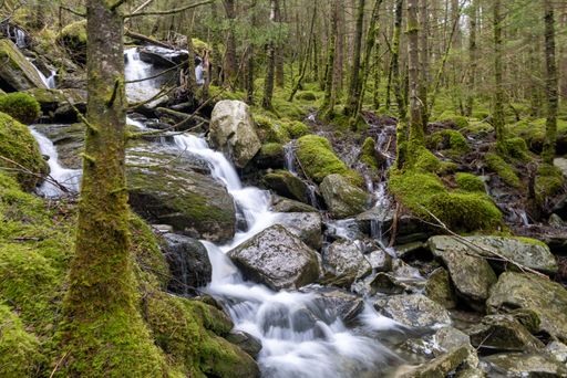 A majestic waterfall cascading through lush greenery and over mossy rocks and boulders in the forest