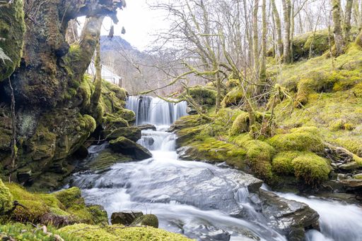 A majestic waterfall cascading through lush greenery and over mossy rocks and boulders in the forest