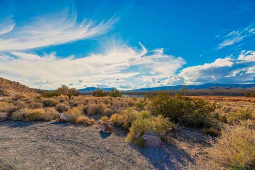 A landscape of a Desert with wild plants in Nevada with blue sky on the horizon in the summer
