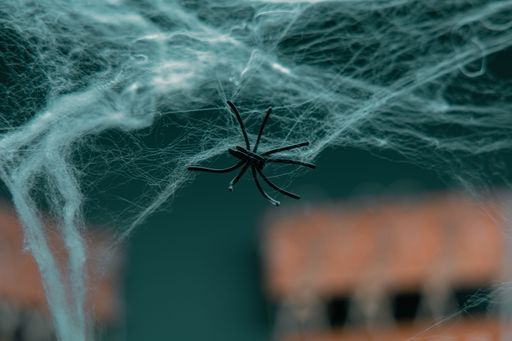 A toy spider on an artificial cobweb. Halloween party decoration.