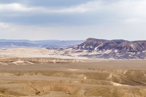 A barren desert landscape with mountains in the background. Negev, Israel.