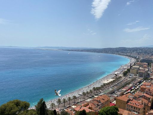 A gorgeous aerial view of a seaside city with a white dove flying towards the calm blue waters