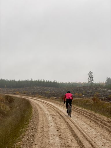 A back view of cyclist riding on road