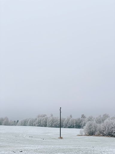 An aerial view of snow covered field surrounded by dense trees