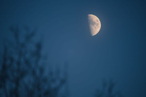 A crescent moon in sky