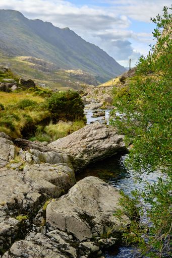 A vertical shot of a stream surrounded by rocks and greenery in the countryside