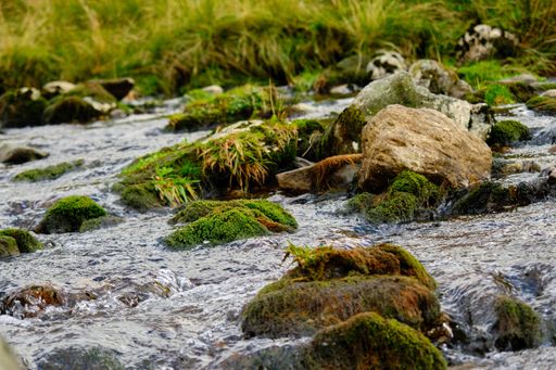 A landscape of a stream surrounded by hills and greenery in the countryside