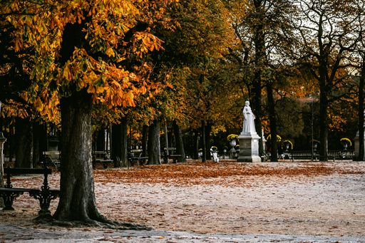 A beautiful autumnal park with fallen leaves on the ground near a statue surrounded by orange trees