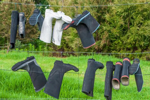 A bunch of gumboots hanging on a wire fence in a grass field