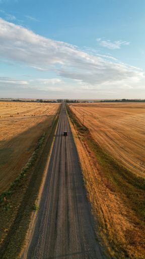 A vertical aerial view of a dirt road through a field