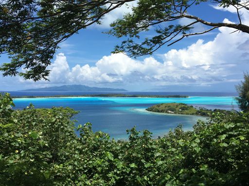A lovely view of green bushes and trees under a bright cloudy sky in Bora Bora, French Polynesia